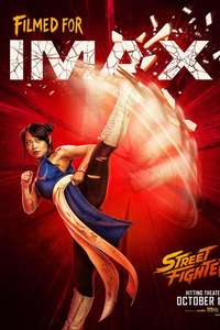 Street Fighter - Posters