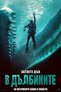 Whalefall - Posters