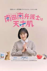 Extraordinary Attorney Minami - Posters