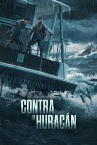 Surviving Hurricane Otis - Posters