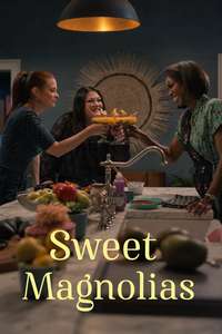 Sweet Magnolias - Posters