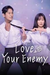 Love Your Enemy