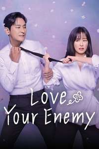 Love Your Enemy - Posters