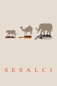 Mammals - Posters