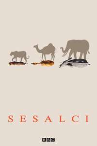 Mammals - Posters