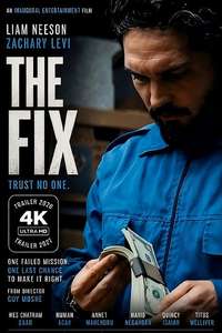 The Fix - Posters