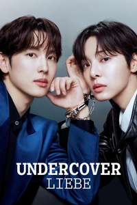 Love in Disguise - Posters