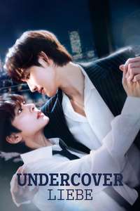 Love in Disguise - Posters