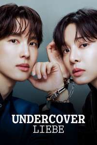 Love in Disguise - Posters