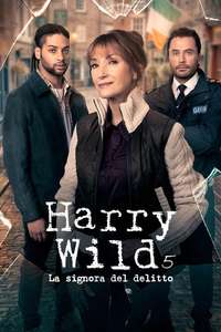Harry Wild - Posters