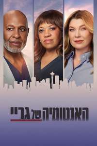 Grey's Anatomy - Posters