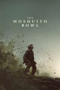 The Mosquito Bowl - Posters