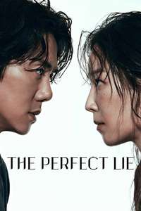 The Perfect Lie - Posters