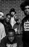 The Roots