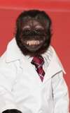 Crystal the Monkey
