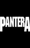 Pantera 
