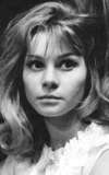 Snežana Nikšić