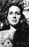 Flor Silvestre
