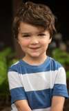 Hudson Gerb