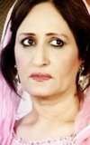 Sumbul Ansari