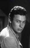 Ahmed Ramzy