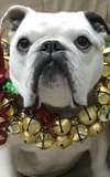  Nellie