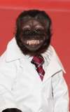 Crystal the Monkey