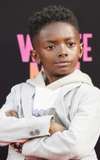 Aiden Shute
