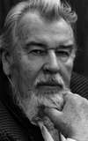 Bernhard Wicki