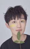 Xiong Wen Wen