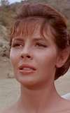 Julie Parrish