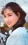 Liu Xiaoqing