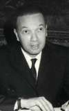 Georges Aminel