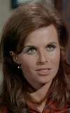 Lynn Loring