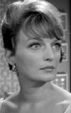 Jan Holden