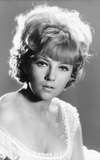 Julia Foster