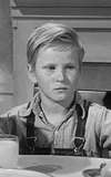 Steve Condit