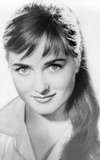 Lois Daine