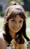Karen Valentine