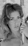 Tracy Handfuss