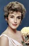 Kay Kendall
