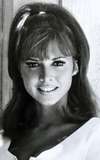 Jocelyn Lane