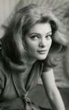Sylvia Sorrente