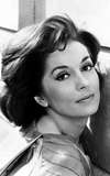 Barbara Shelley