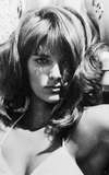 Diane Bond
