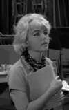 Diane Sayer