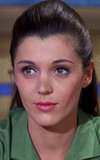 Donna Baccala