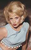 Sally Nesbitt