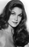 Vicki Frederick