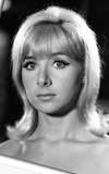 Angela Douglas